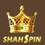 Shah Spin Game