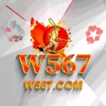 W567 Game